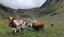 natur exclusiv
