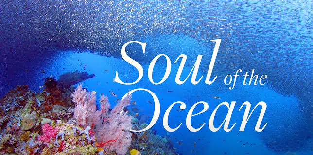 Soul Of The Ocean
