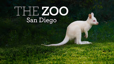 06:50: The Zoo: San Diego (S2 E4) (S2) | Animal Planet | 5/11 2026