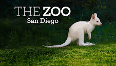 The Zoo: San Diego (S2 E2)