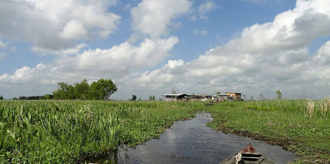 21:00: Die größten Flüsse der Erde: Der Mississippi (3/3) | ARD Alpha | 3/9 2026