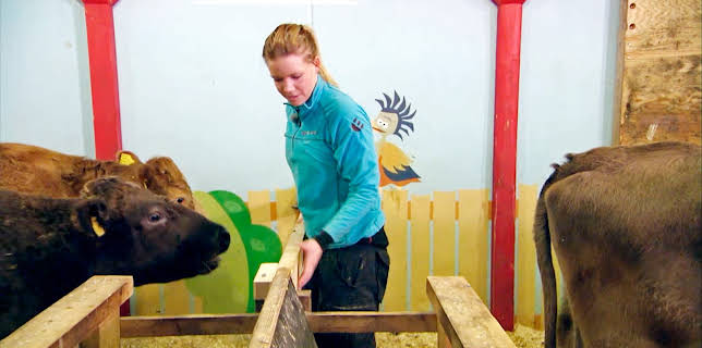 06:30: Dyrepasserne | TV 2 | 11/13 2025