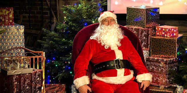 The Yorkshire Vet at Christmas: It's a Wonderful Life