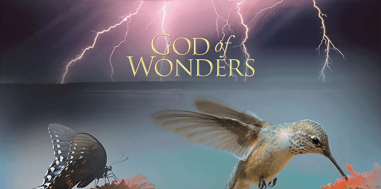 God of Wonders