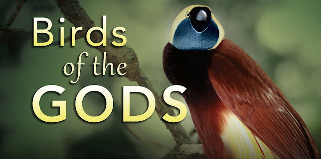 Birds of the Gods (1982)