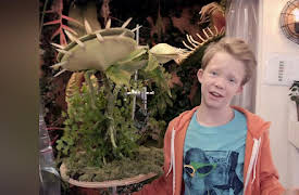 Walk the Prank Volume 1: Bailey's Band