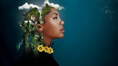 00:00: Blue Carbon - Die Superkraft der Natur | Radio Bremen | 4/15 2026