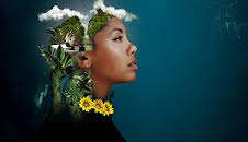 Blue Carbon - Die Superkraft der Natur