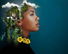 Blue Carbon - Die Superkraft der Natur