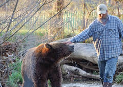 Project Grizzly