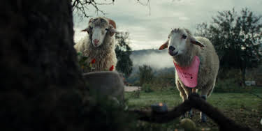 00:30: SHEEP | ZDF | 8/25 2026