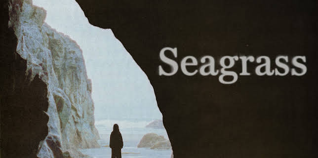 Seagrass (2024)