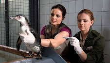 Tierärztin Dr. Mertens (S03/E01)