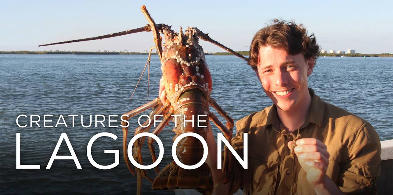 Creatures of the Lagoon (2012)