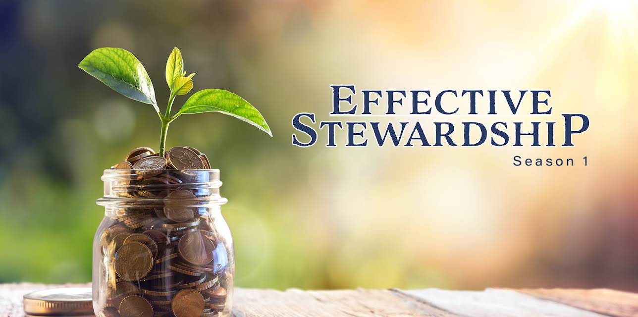 Effective Stewardship