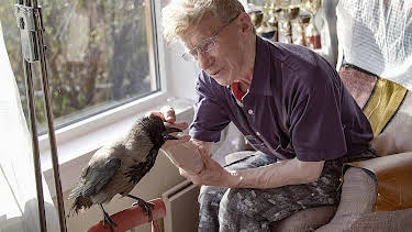 12:35: Ville videoer: Ugagnskråke og bestevenn | NRK 1 | 4/11 2026