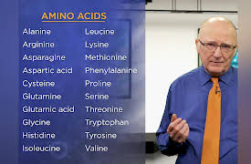Biochemistry and Molecular Biology: How Life Works: Amino Acids: 20 Building Blocks of Life