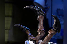 Monsters Resurrected: Season 1: Great American Predator