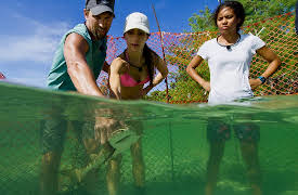 Shark Academy, Season 1: Thrown in the Deep End