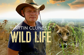 Martin Clunes's Wild Life: Martin Clunes: A Man and His Dogs Part 1