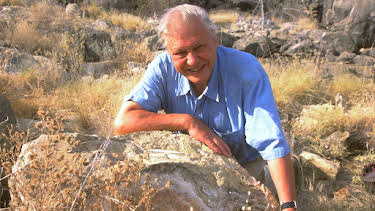 4:00 PM: The Life of Mammals (S1 E1) (S1) | Yesterday | 12/7 2025