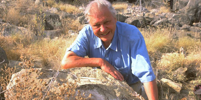 3:00 PM: The Life of Mammals (S1 E1) (S1) | Yesterday | 12/7 2025