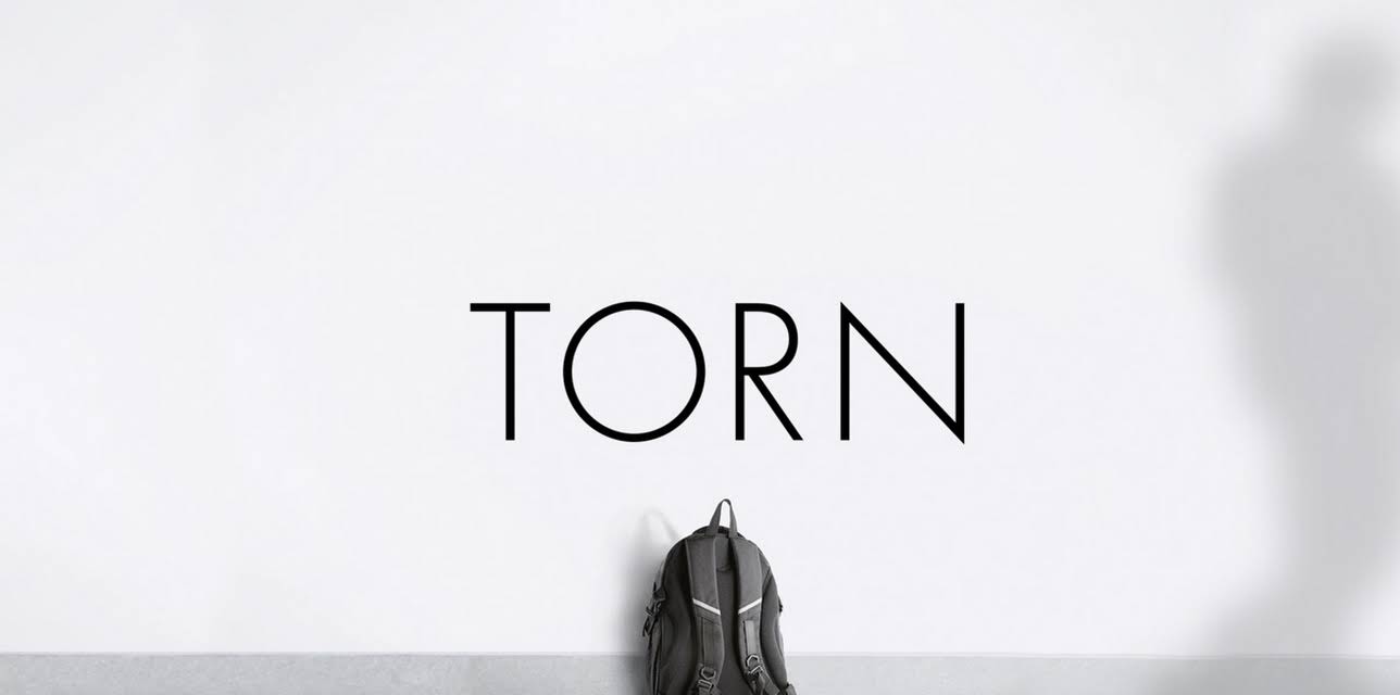 Torn (2013)