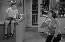 The Dick Van Dyke Show: Season 1: Washington vs. the Bunny