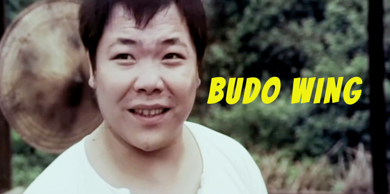 Budo Wing (1979)