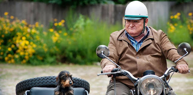 20:15: Krauses Umzug | RBB Fernsehen | 1/1 2026