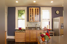 Professional Grade: Naive Renovators Rehab Kitchen