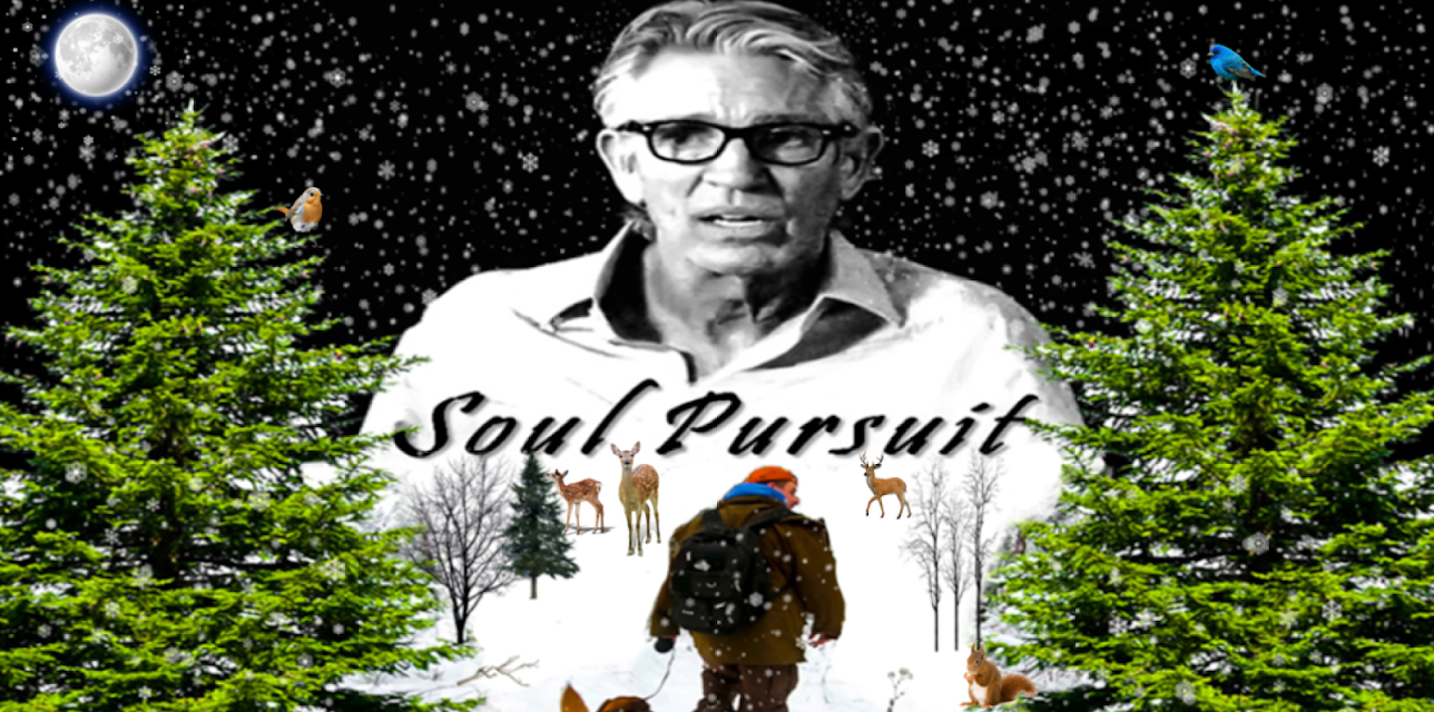 Soul Pursuit (2021)