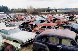 Roadkill's Junkyard Gold, Season 1: More Fight For Survival in Vancouver, Washington