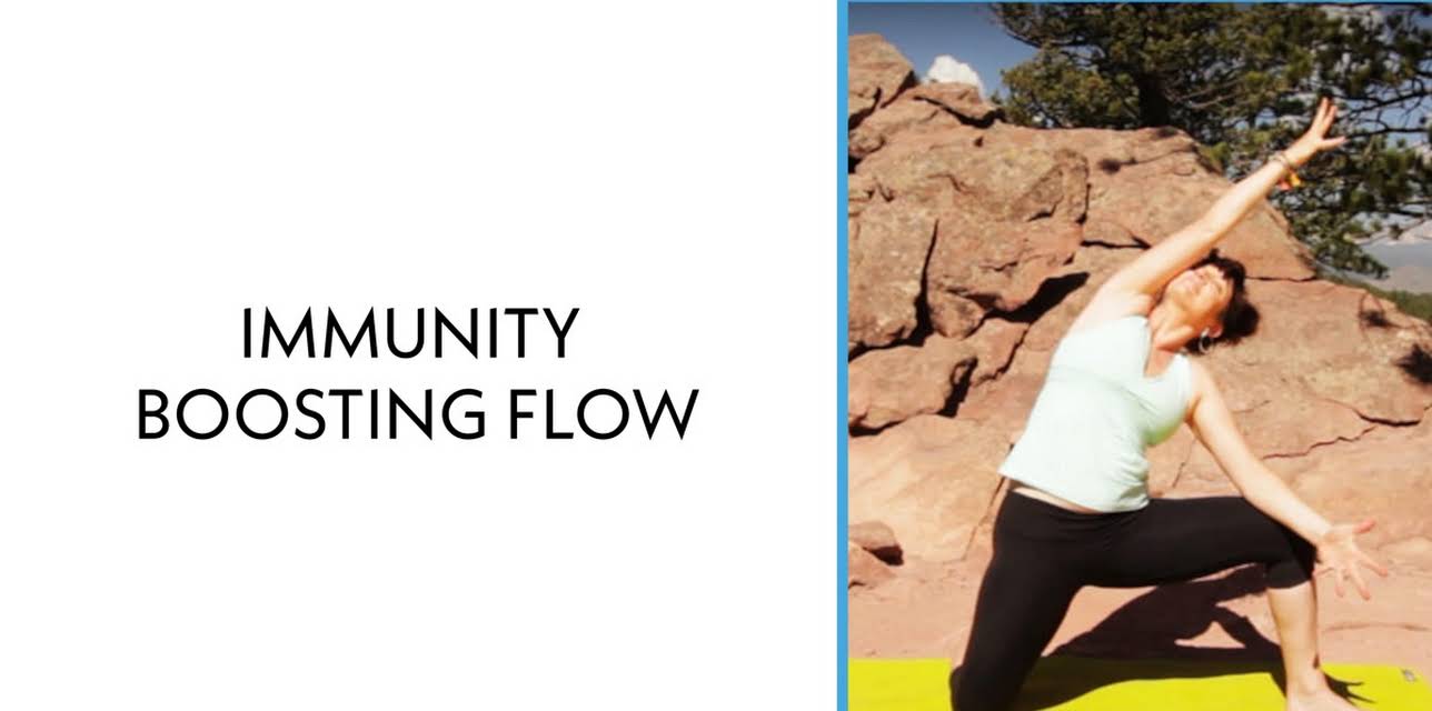 Immunity Boosting Flow (1990)