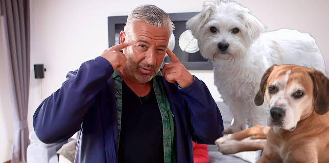 11:10: Hunde verstehen! | WDR Fernsehen | 2/19 2026