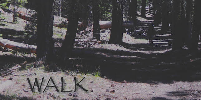 Walk (2004)