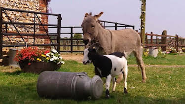 6:00 PM: Treubh an Tuathanais (Big Barn Farm) (S2) | BBC Alba | 1/16 2026