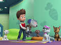 PAW Patrol
