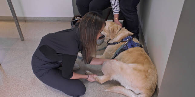 05:30: Australiens Tierrettung - Einsatz am Bondi Beach | Sixx | 3/22 2026