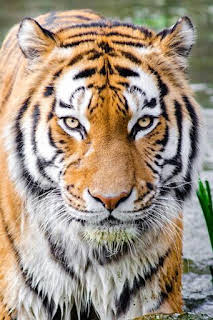 16:45: Territorio Activo | 7 TV Región Murcia | 3/28 2026