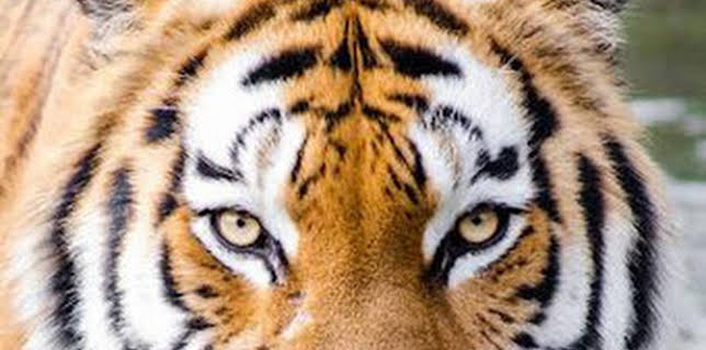 15:00: Territorio Activo | 7 TV Región Murcia | 12/13 2025