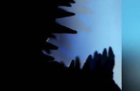 Beasts of the Bayou Season 1: Half Man / Half Alligator