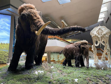 03:45: Rückkehr der Mammuts? Die Wiederbelebung ausgestorbener Arten | ZDFinfo | 3/31 2026