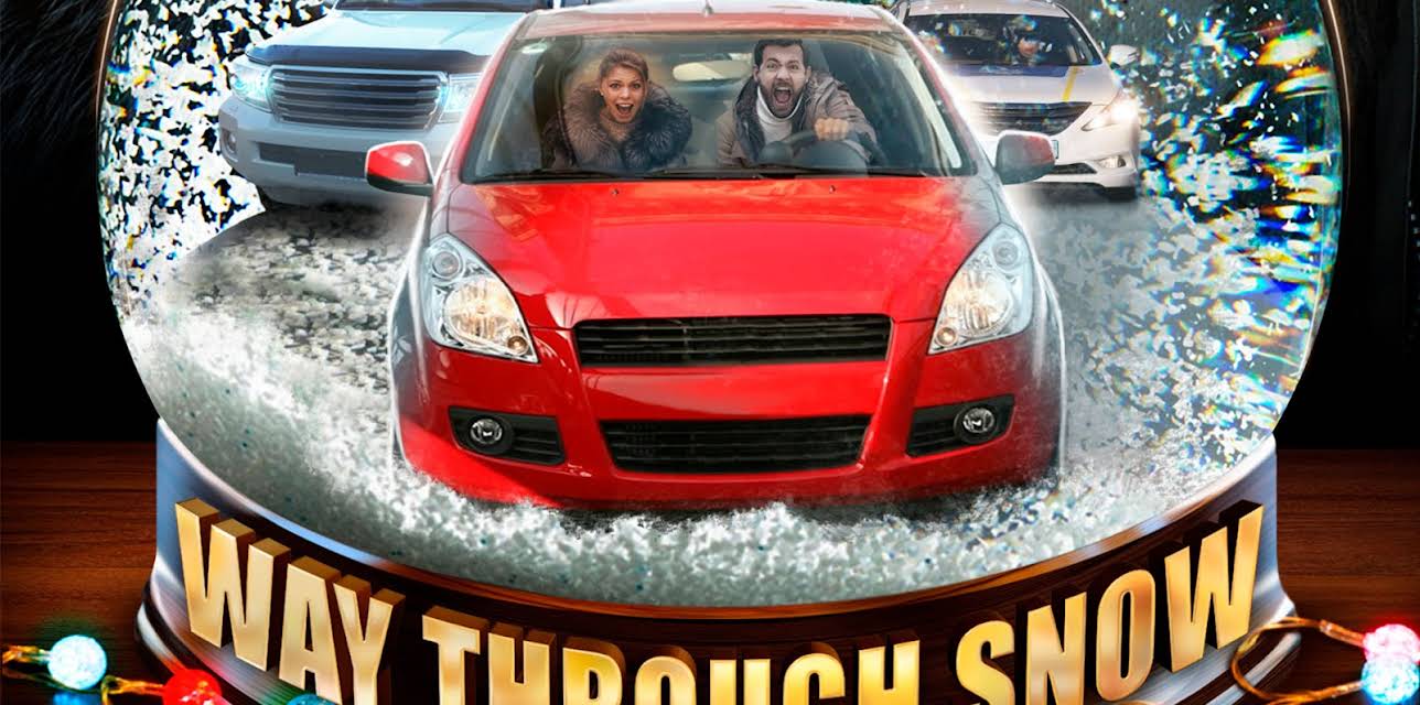 Way Through Snow (2017)