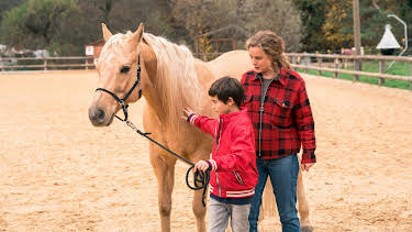 15:30: Reiterhof Wildenstein - Der Junge und das Pferd | Das Erste | 4/11 2026