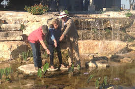 The Pool Master: Episode 5