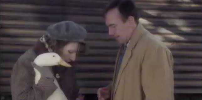 2:15 AM: All Creatures Great and Small (S7) | BBC Four | 11/23 2025