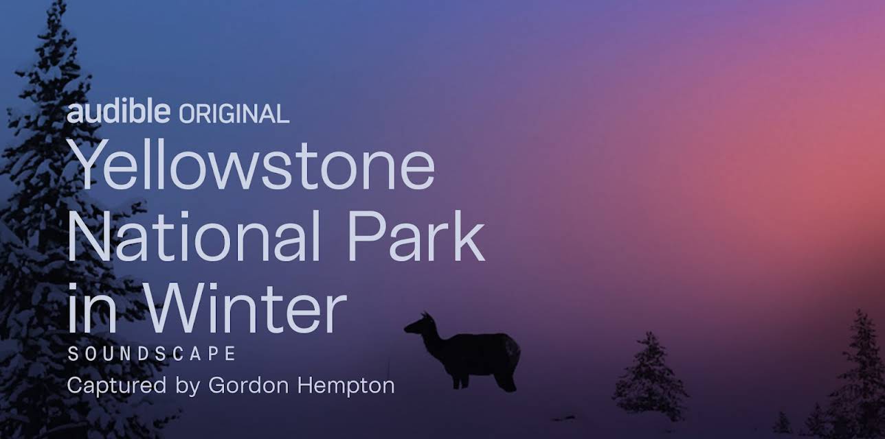 Yellowstone National Park in Winter (2020)