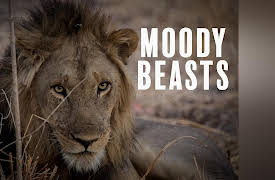 Moody Beasts: Mating Games