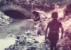 Va passar aquí: Episodi 115